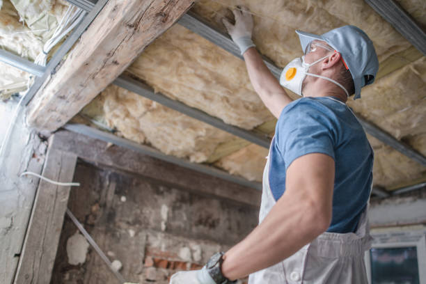 Best Spray Foam Insulation in River Ridge, FL