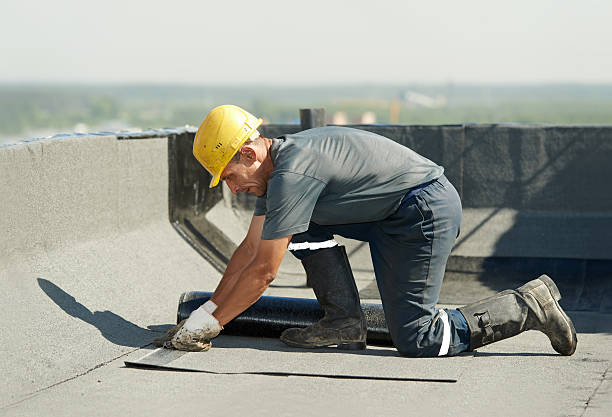 Best Insulation Maintenance and Repair in River Ridge, FL