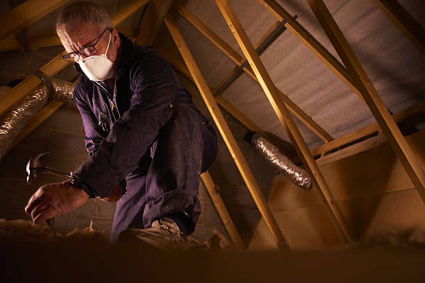 Best Insulation for Specific Applications in River Ridge, FL