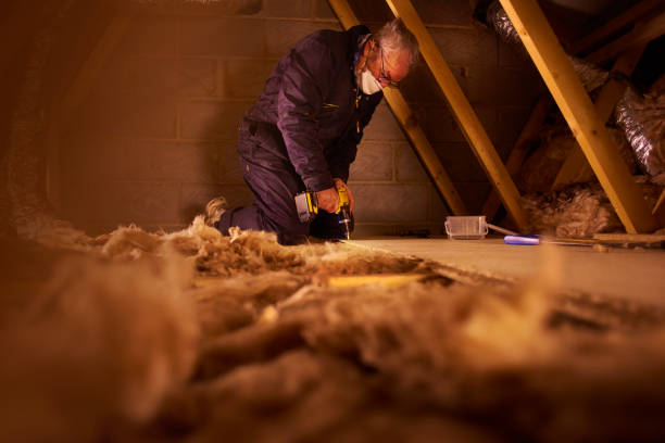 Best Energy Efficiency Insulation in River Ridge, FL